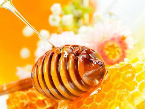 蜂胶的营养价值