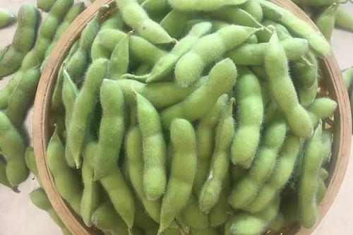 毛豆的营养价值