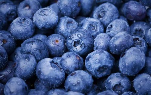 蓝莓酒的营养价值