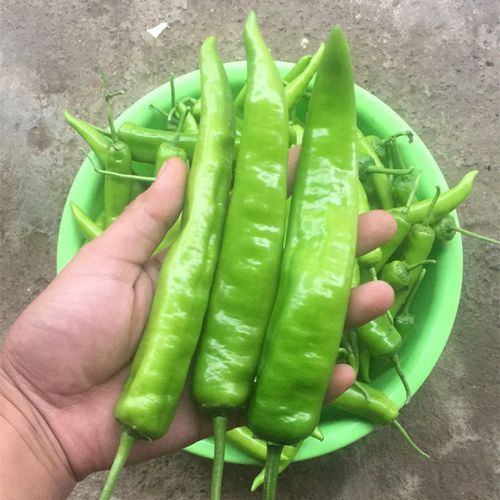 ˽Ӫֵ