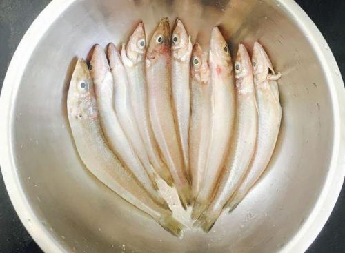 沙丁鱼的功效与作用