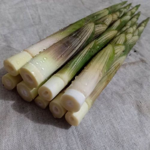 ˮʳ÷