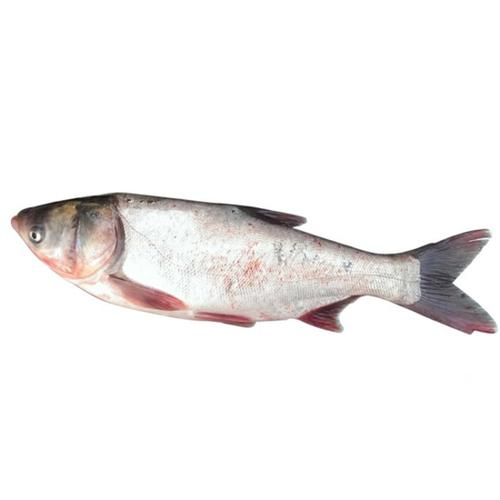 ĹЧ