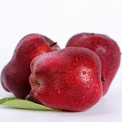 ߹Ӫֵ