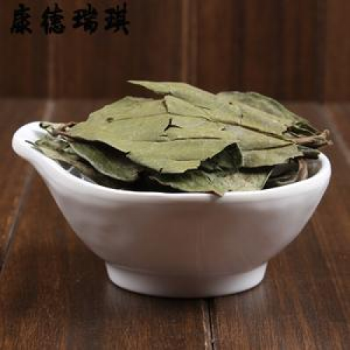 柿叶茶的食用方法