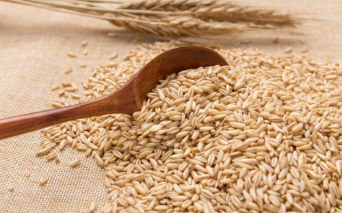 燕麦米的营养价值