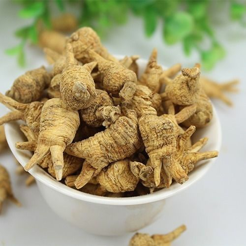 觅阳参的功效与作用