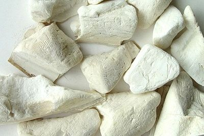 海螺蛸的食用方法