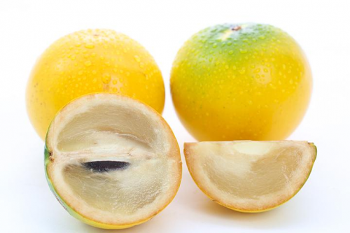 ƽʳ÷
