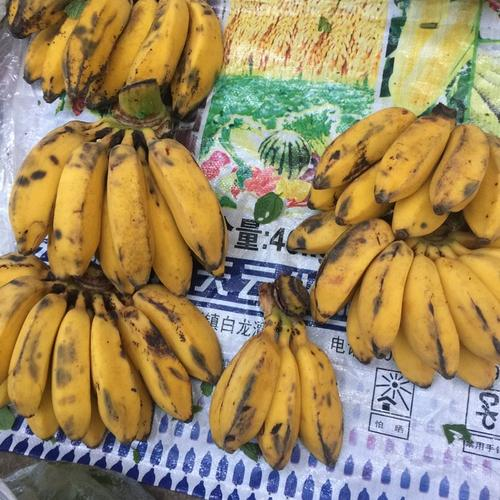 芭蕉心的食用方法
