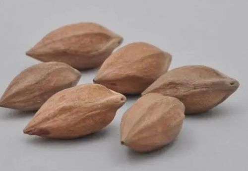 橄榄核的食用方法