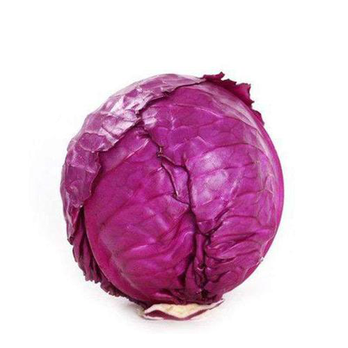 紫椰菜的营养价值