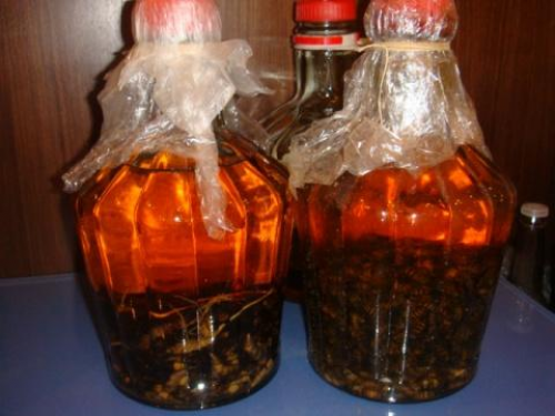 蚂蚁酒的营养价值