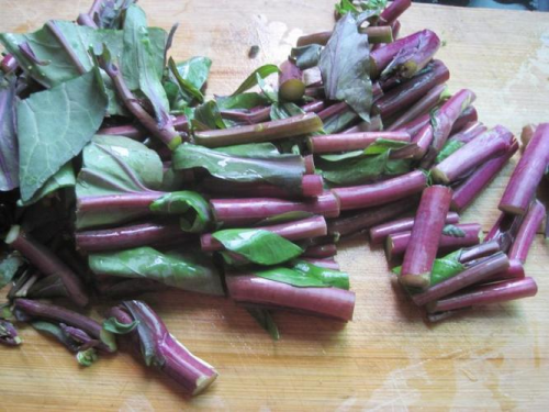 紫菜苔的营养价值