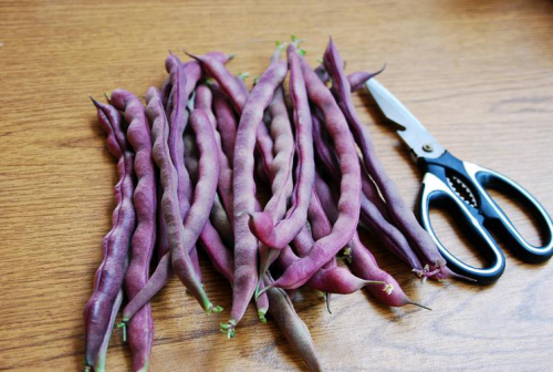紫豆角的食用方法